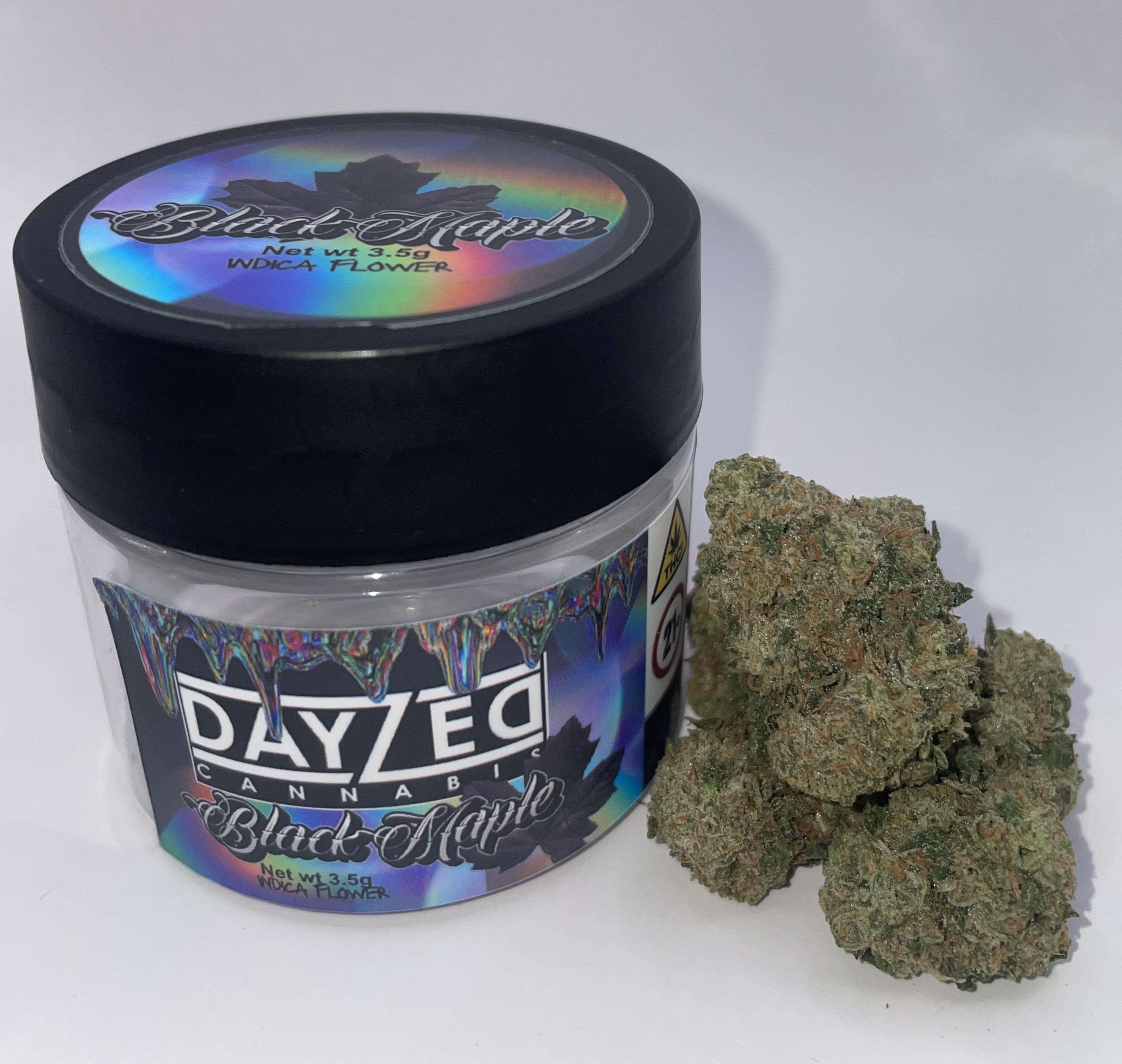 Dayzed - Black Maple - Flower