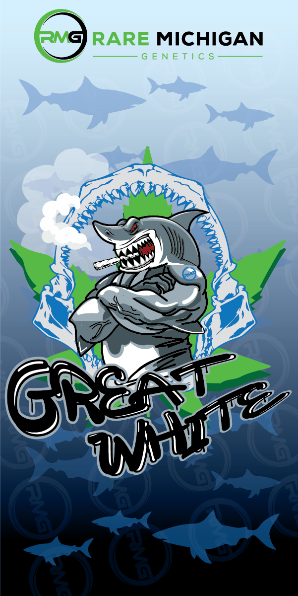 Great White