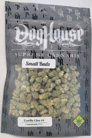 Gorilla Glue #4 [DOH] Small Buds - by Doghouse