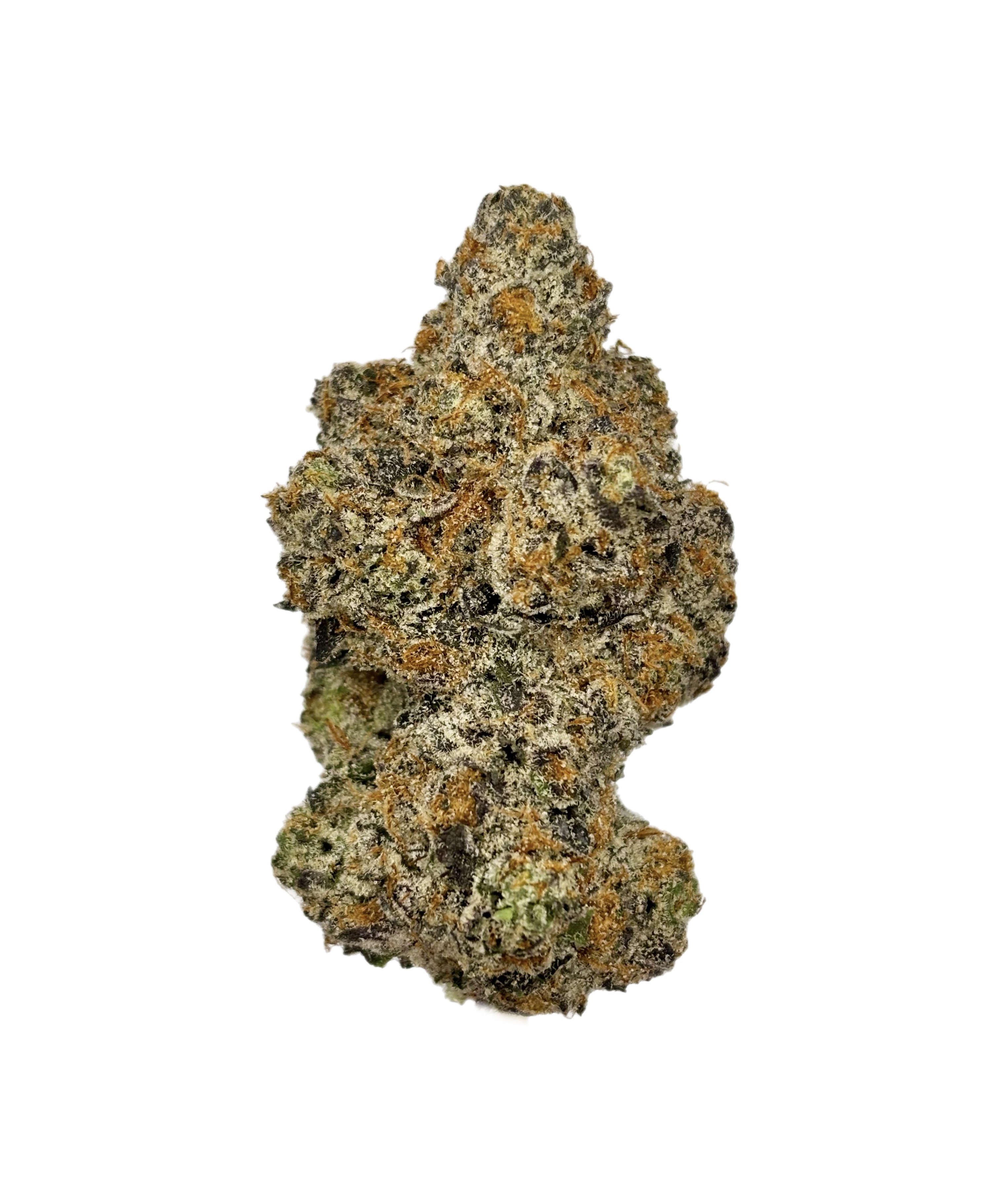 Glo | Blue Lobster | Bulk Flower | Platinum Tier