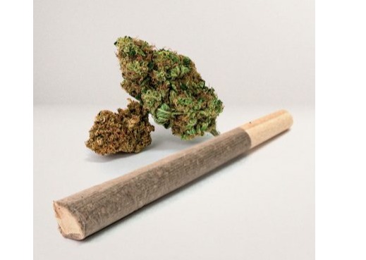 TruSmoke - Pre-roll Straight 1g - TruGas