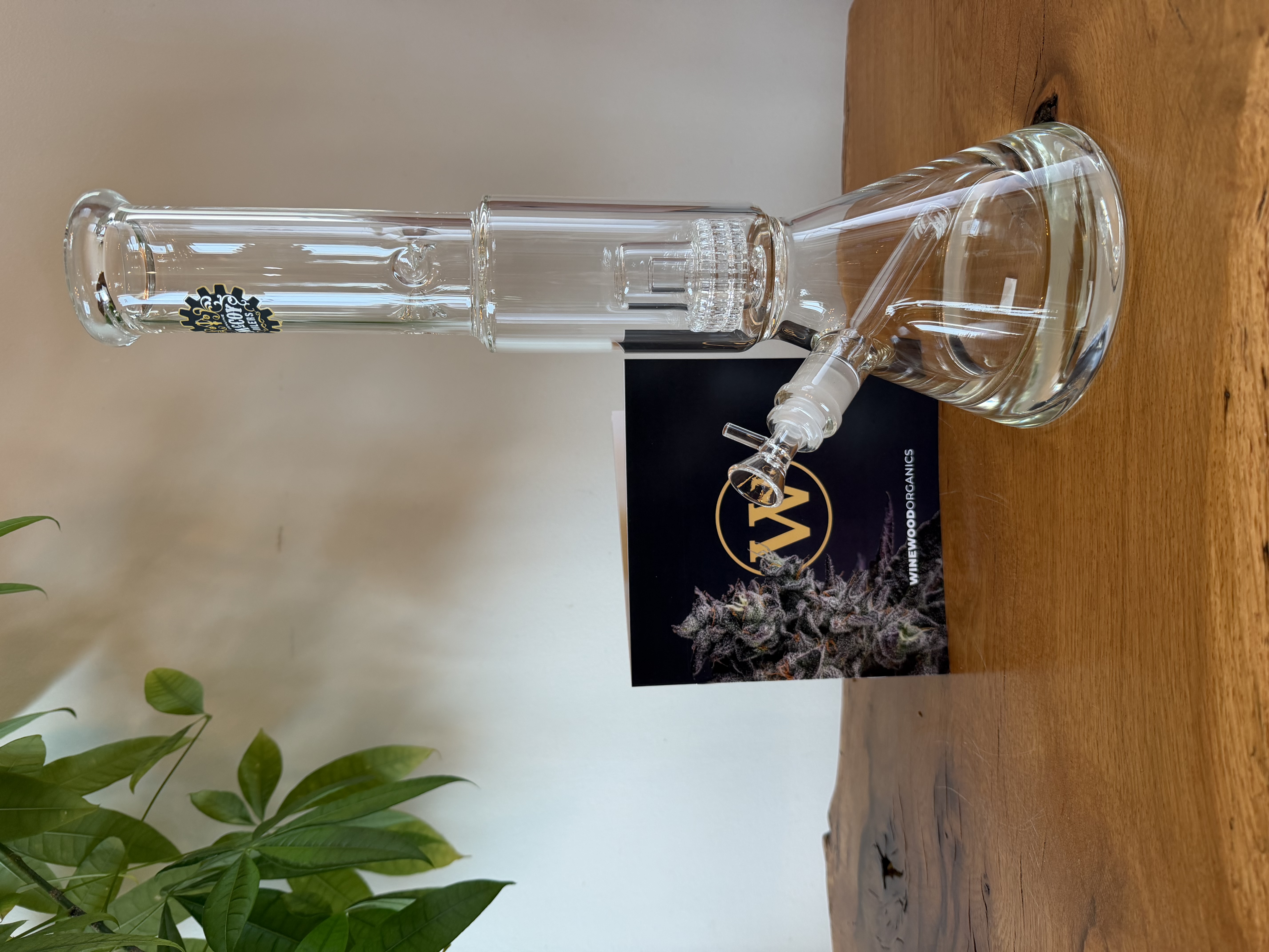 Glass Heavy Bottom Beaker Bong