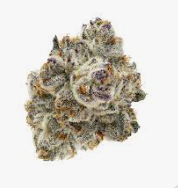 Tropicanna Banana - Popcorn - S