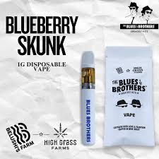 Vape Pen | Blueberry Skunk | Distillate Dispo | Indica - 1G