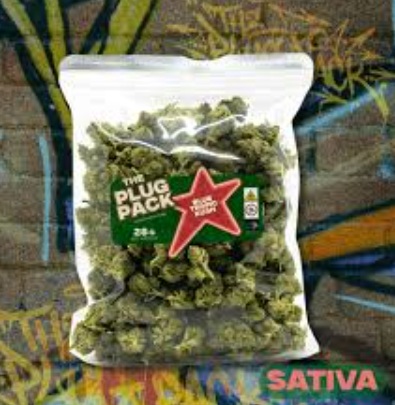 The Plug Pack Blue Tropic Kush Flower