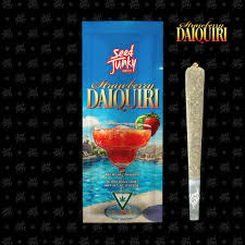 Strawberry Daiquiri [H] - Preroll