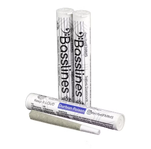 Basslines Night Train