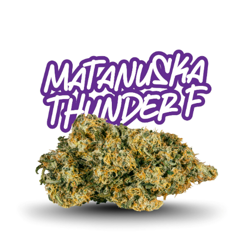FADE CO. Matanuska Thunder F 10g