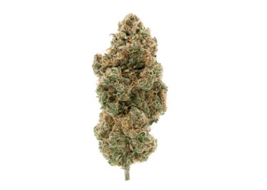 BC Organic Tangerine Sunrise