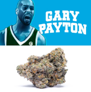 (2) DC's Finest: Gary Payton (H)