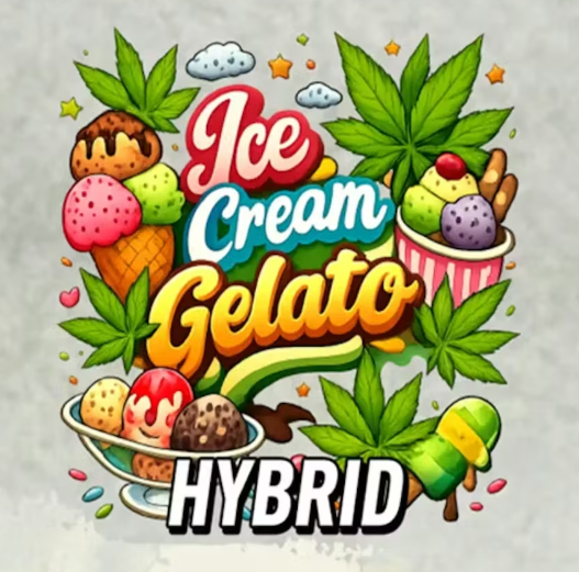 Detroit Dope | Ice Cream Gelato | Infused Pre-roll | 1.2g | Indica