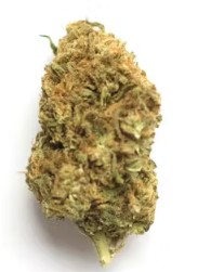 (2) Community Projects: Lemon Cherry Zkittlez (H)