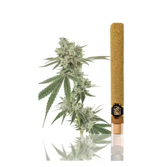 Left Coast Extracts | Maui Waui | Infused Blunt | 2g