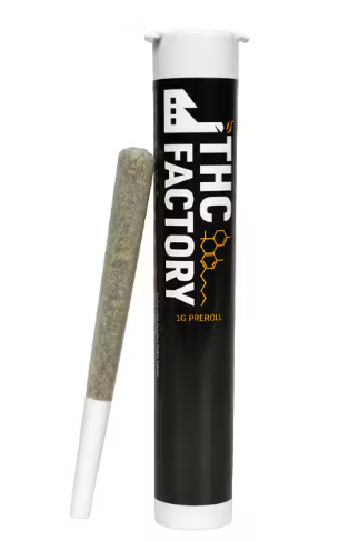 THC Factory - Cheddar Cheese - 1g - Preroll
