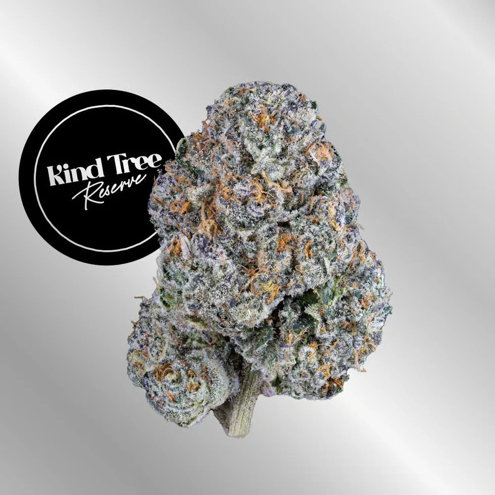 Kind Tree | White Iverson | 3.5g
