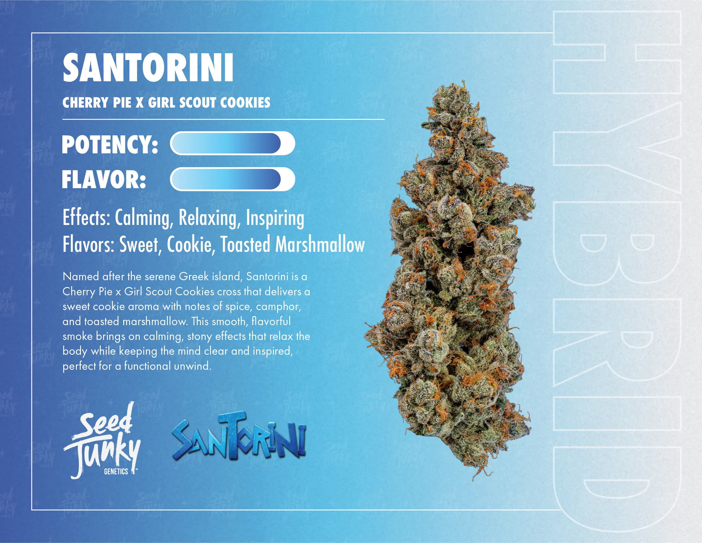 SEED JUNKY | SANTORINI