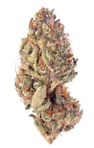 Blueberry Cupcake - 3.5g in Acton