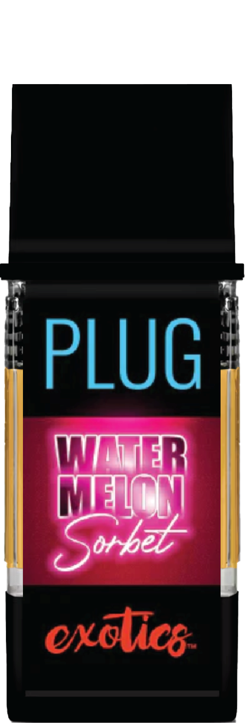 PLUG PLAY | Watermelon Sorbet Pod