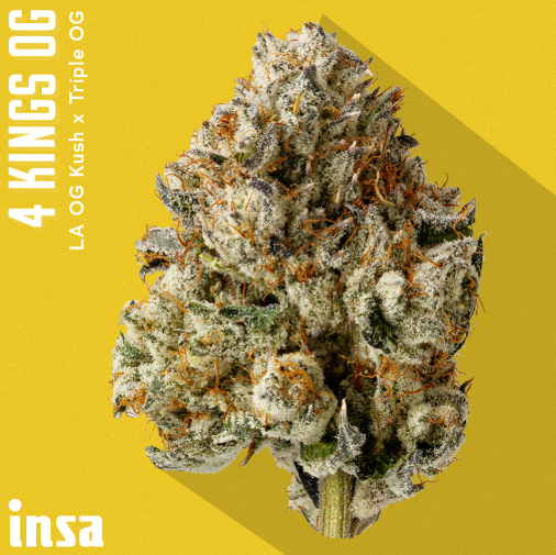 4 Kings Flower