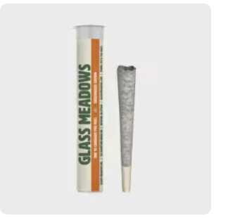 Glass Meadows - Maple Nectar - Cone