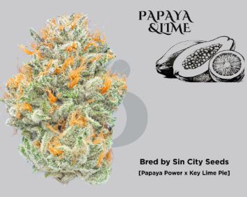 Papaya Lime