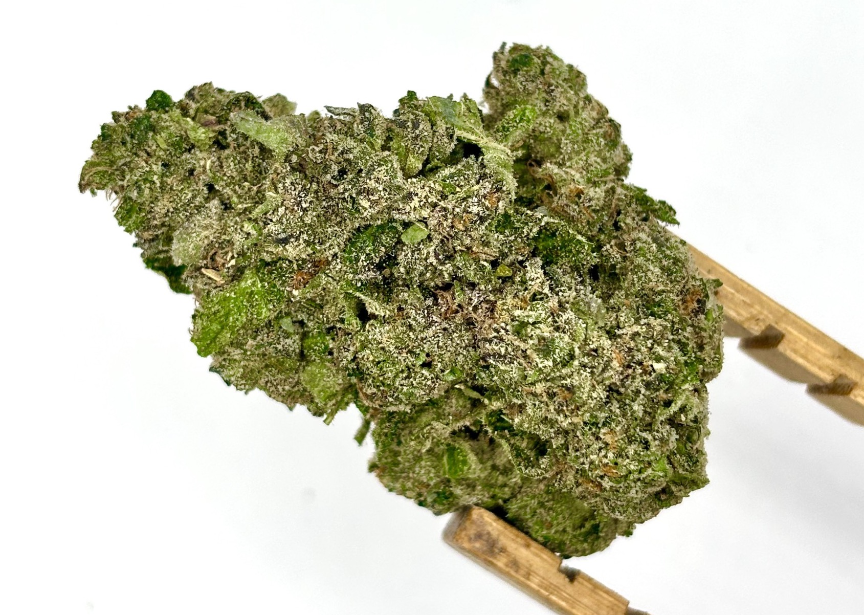 RedFox Cannabis | Double R Sherbs | House Pre-Pack | 28g
