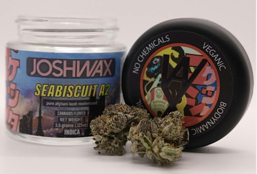 Seabiscuit A2 Living Soil