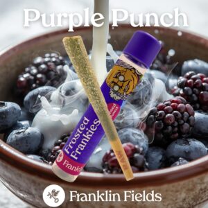 FRANKLIN FIELDS INFUSED PRE ROLL | PURPLE PUNCH