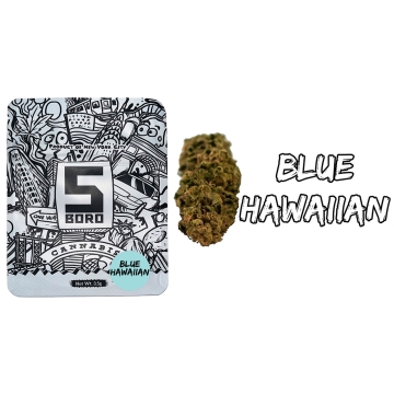 Boro Blue Hawaiian Flower