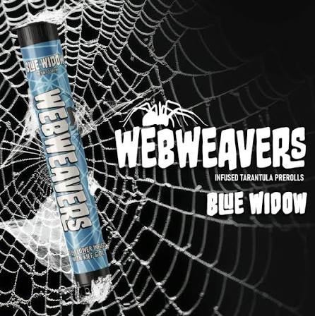 WebWeavers | ICC Preroll Blue Widow