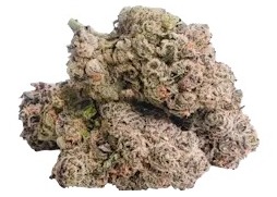 Slurp City | 28g