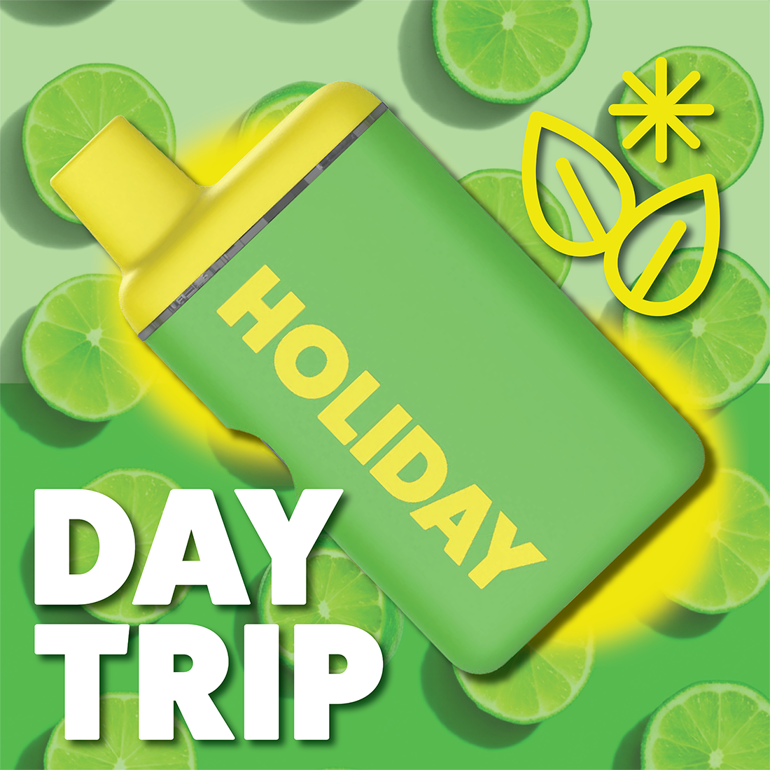 Day Trip