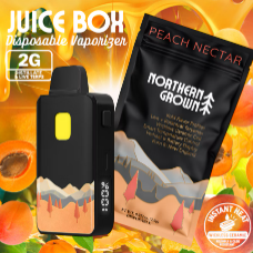 Northern Grown - Peach Nectar | Juice Box 2G Dispo