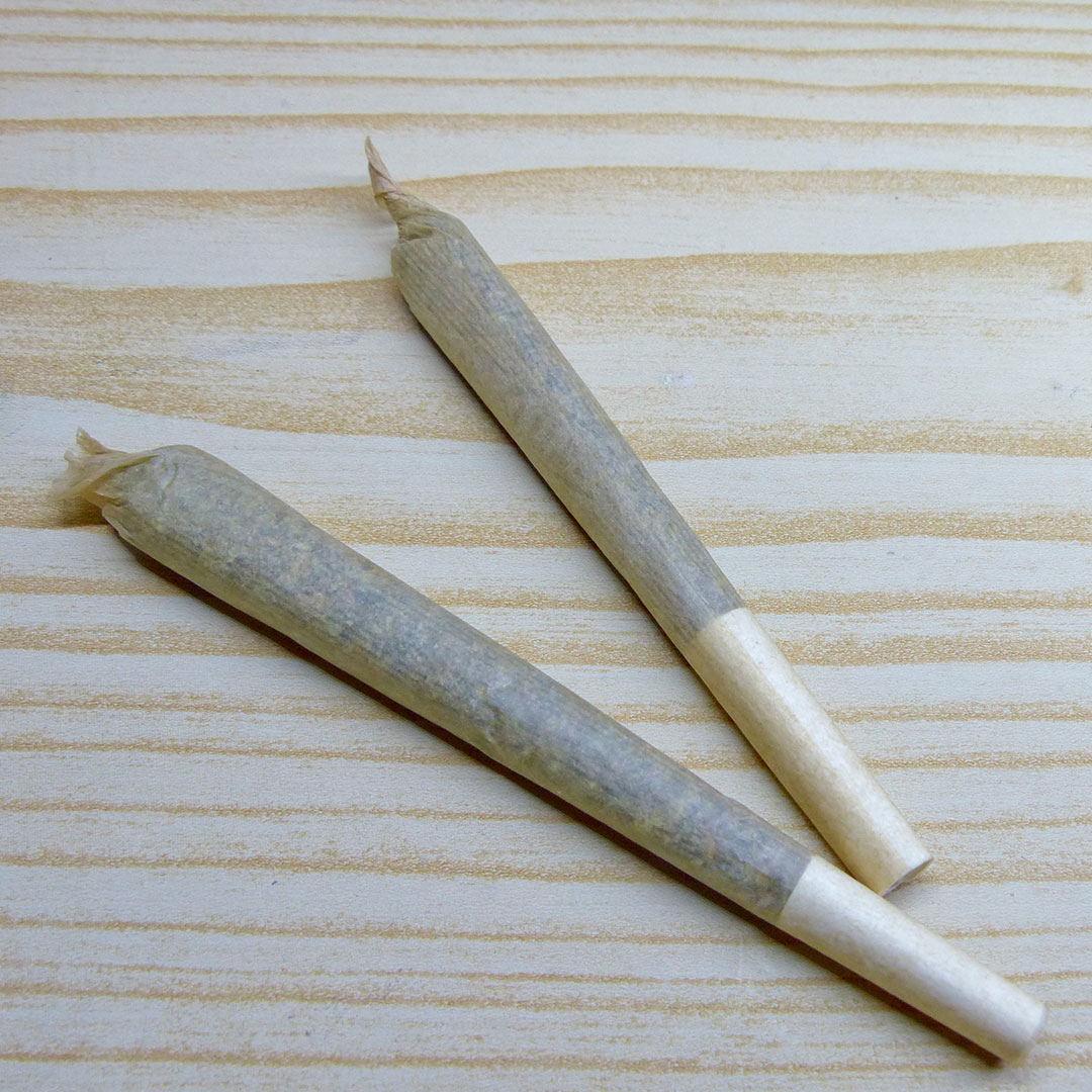 BERRY GREEN | TROPICAL MANGO | INFUSED PREROLLS 7 PACK