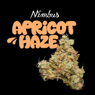 Apricot Haze