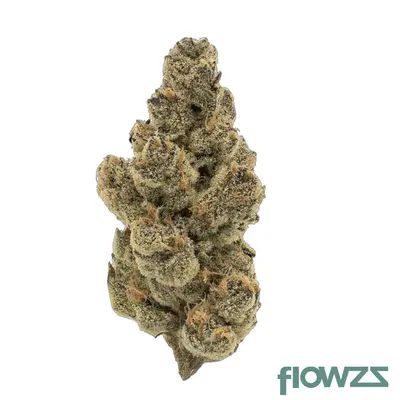 Legacy | SNL | Flower | 3.5g
