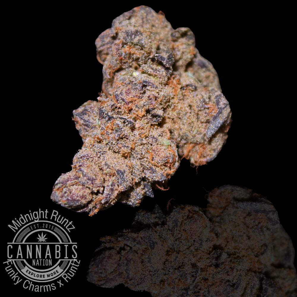 Flower | Midnight Runtz