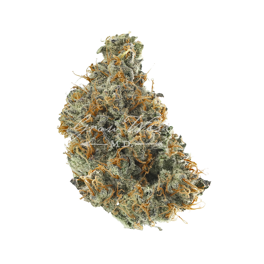 Don Carlos | Gold | Trimmed Flower