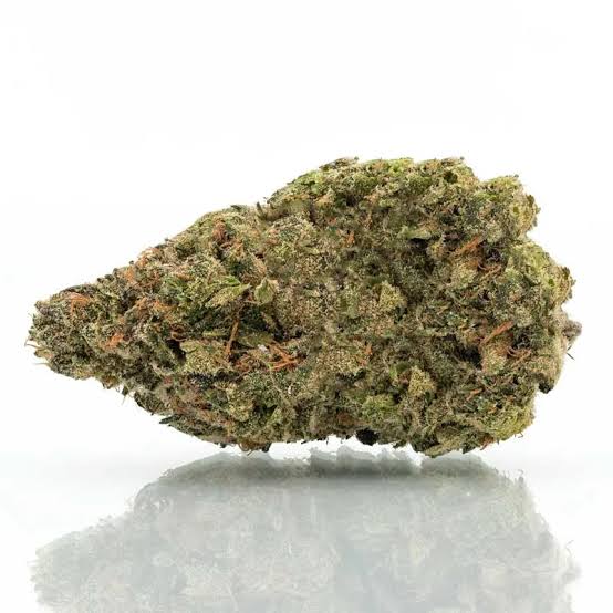 CA | Black Maple Buds - 28g in Clinton