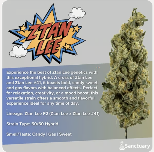 Sanctuary | Ztan Lee product photo