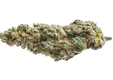 Pure Sunfarms Blue Dream #16 28g