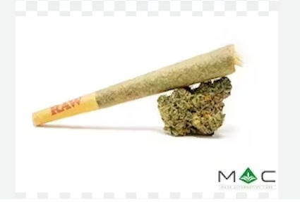 Neon Grove PreRoll
