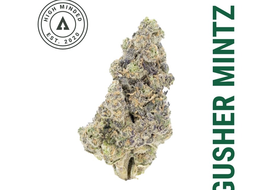 Shake/Trim - Gusher Mintz