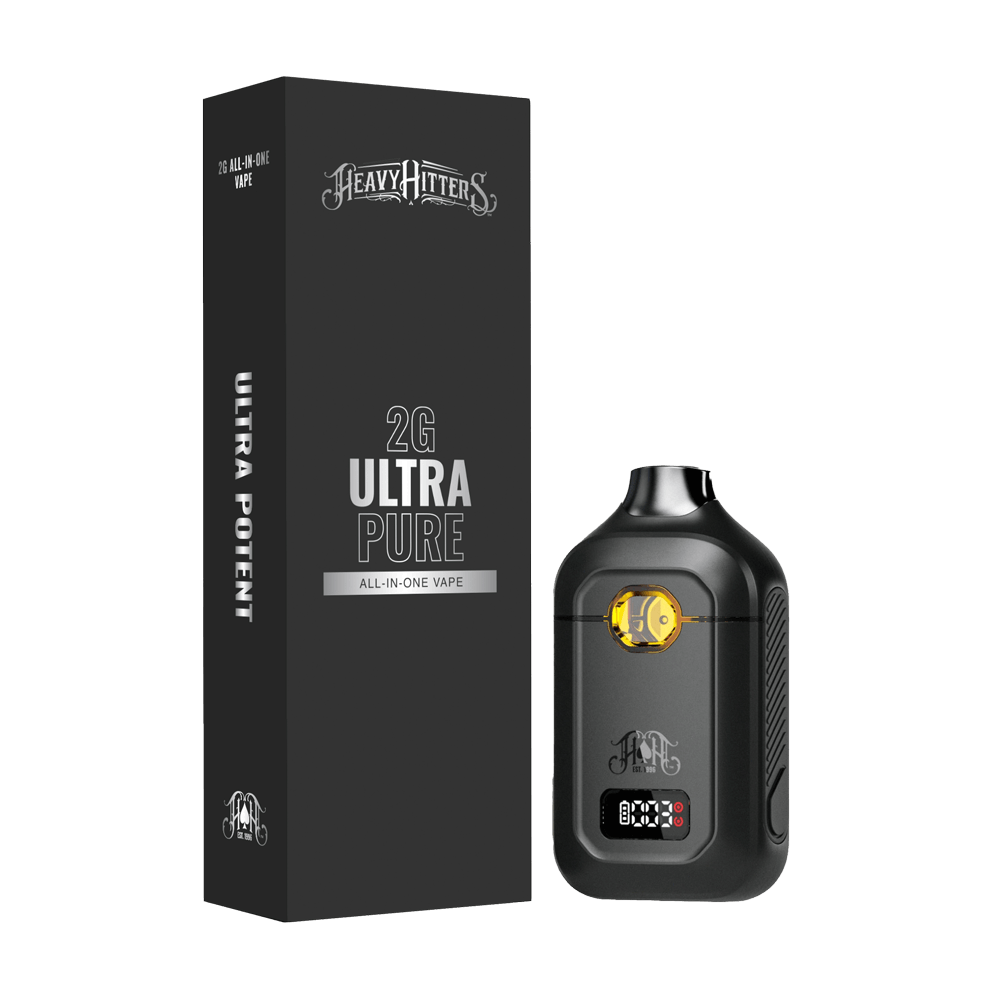 Northern Lights - Disposable -