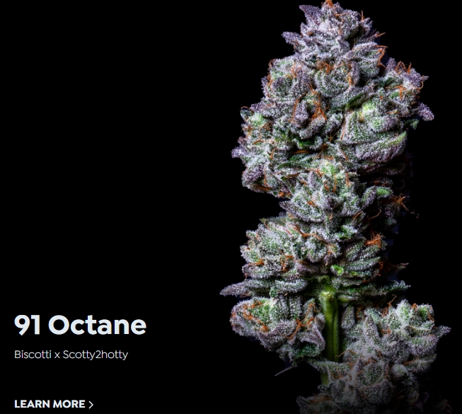 Octane Bulk Flower