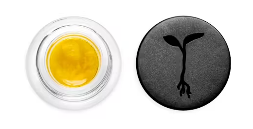 Raw Garden Headband Live Sauce