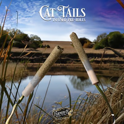 INFUSED PRE-ROLL SCOTTIS CAKE (H) 1G