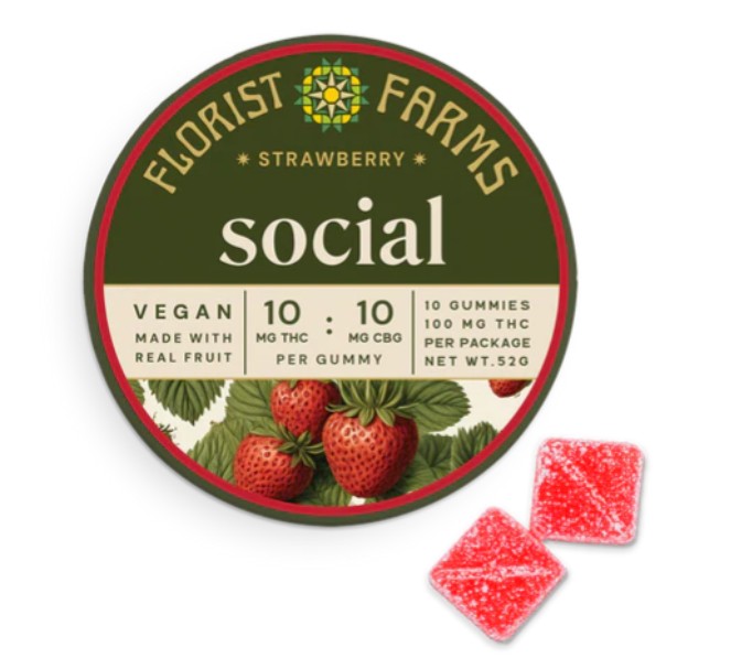 Strawberry Gummies | 10 Pack