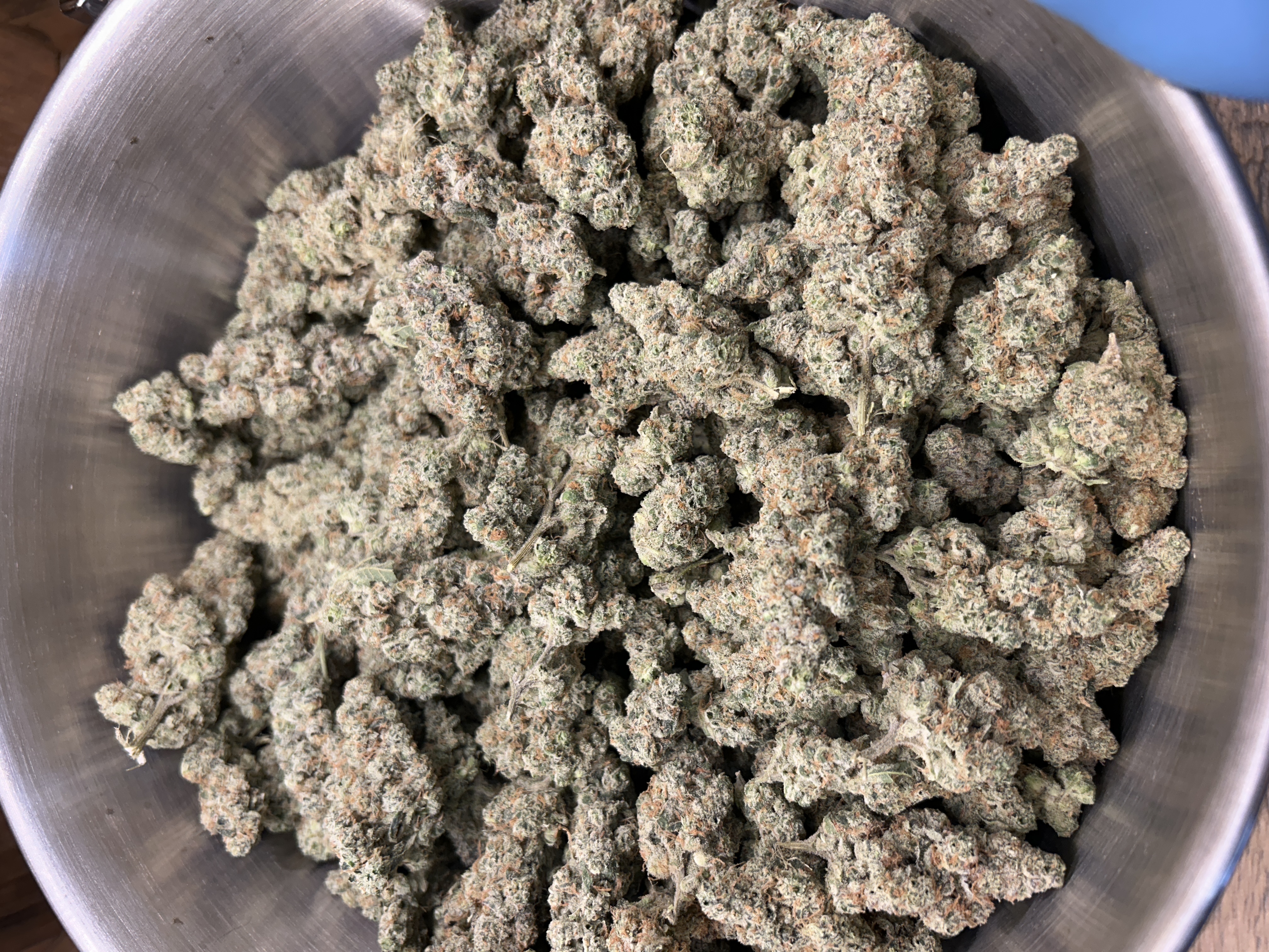 Nimbus | Animal Mint Cake | Buds | 2.1% Terps (1g) product photo