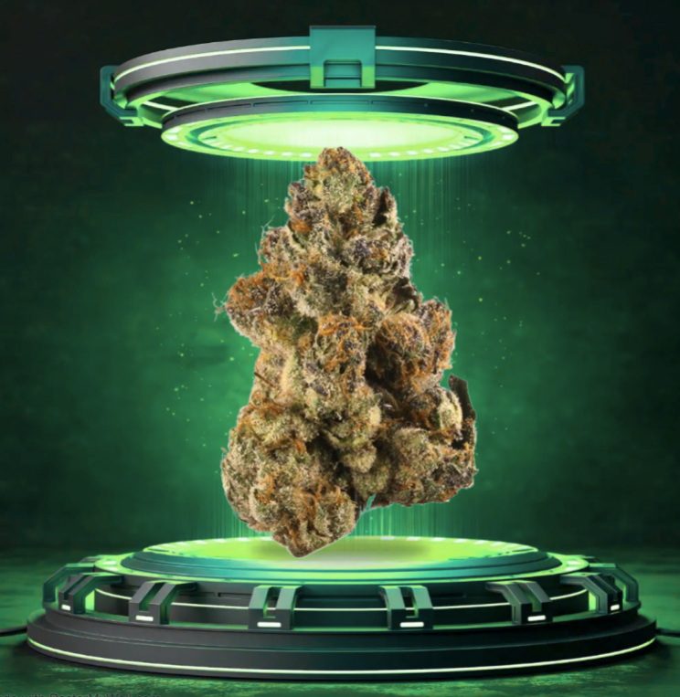 Strawberry Custard - Flower